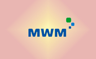 ✓ MWM ����������������������������������������������������������������  